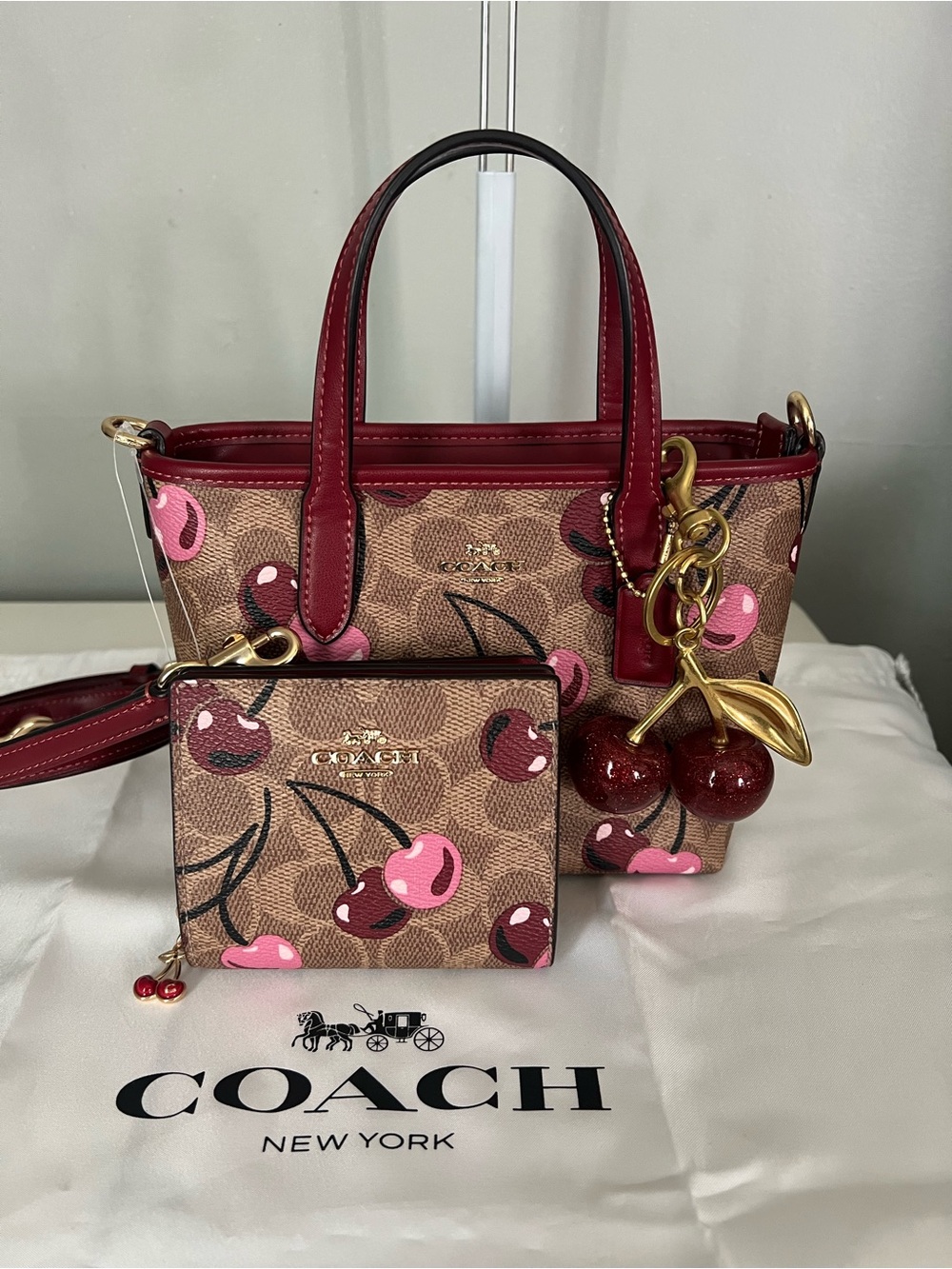 Coach Mini City Tote Bag And Matching Wallet